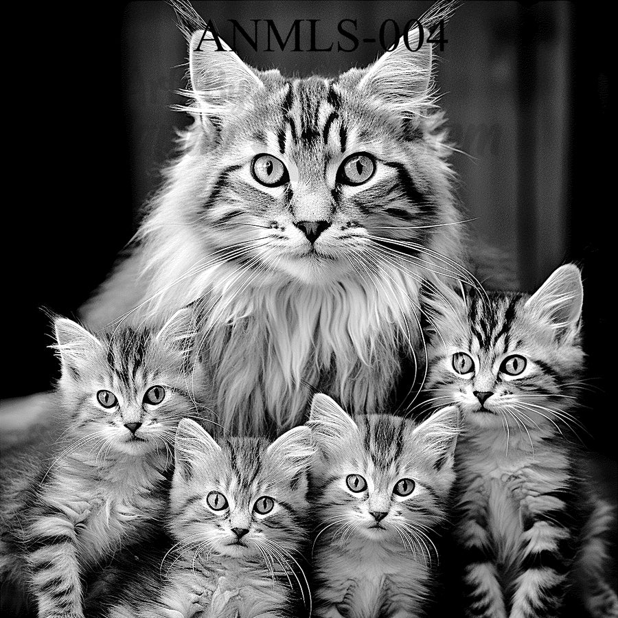 "Purrfect Family – Mom & Meow" SKU: ANMLS-004