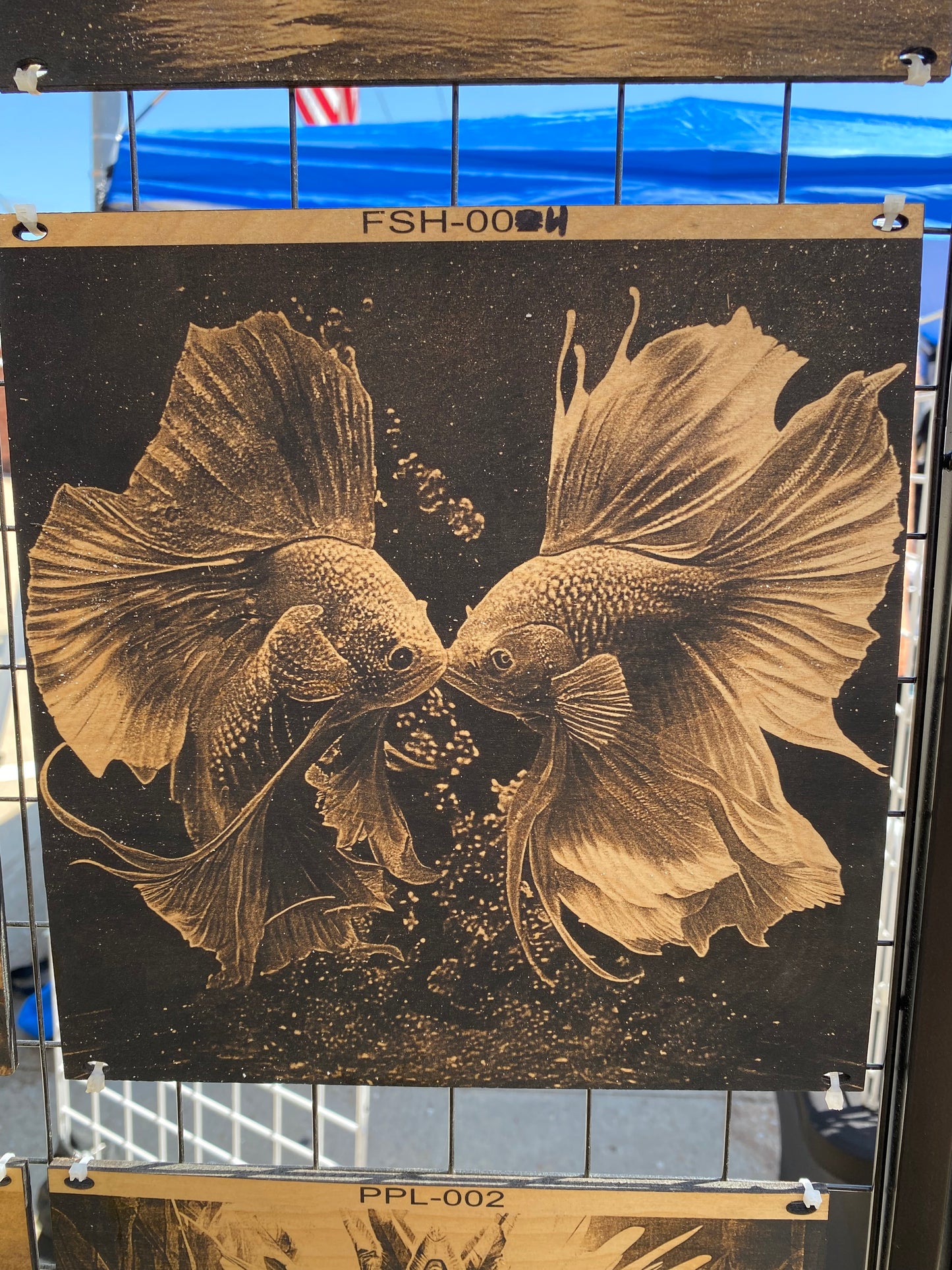 "Ballet of the Bettas – Elegant Duel" SKU: FSH-004