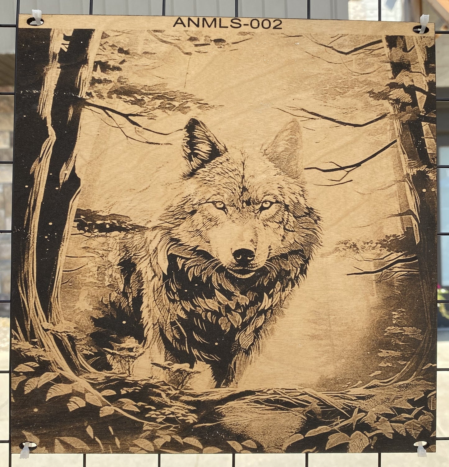 "Eyes of the Wild – Silent Stalker" SKU: ANMLS-002