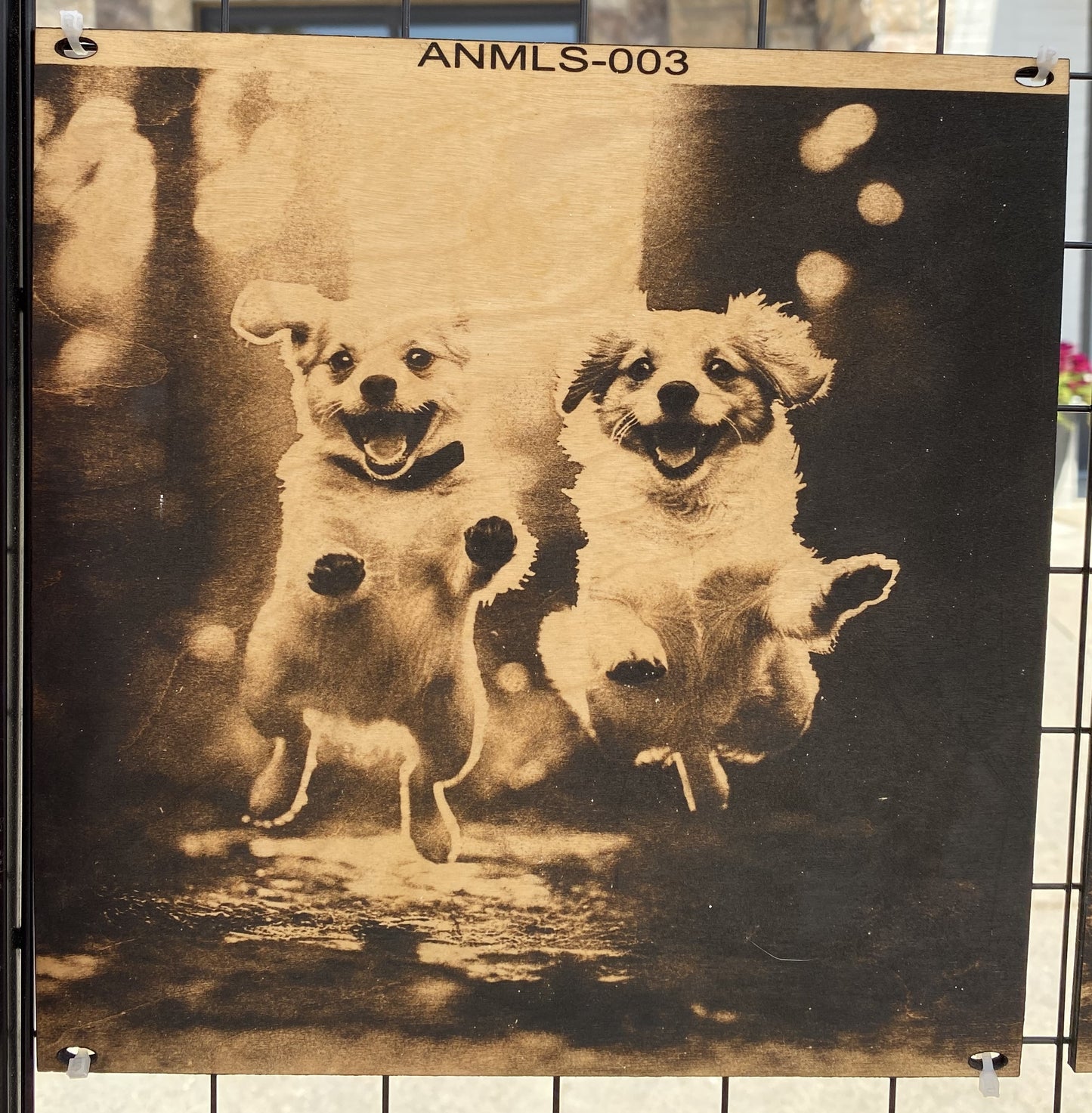 "Paws in the Air – Pure Puppy Joy" SKU: ANMLS-003