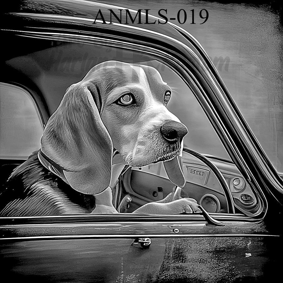 "Cruisin’ Hound – Rider of the Open Road" SKU: ANMLS-019