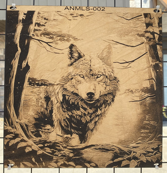 "Eyes of the Wild – Silent Stalker" SKU: ANMLS-002