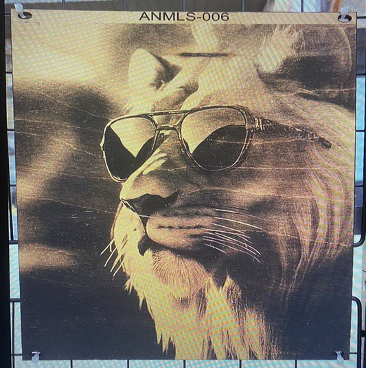 "King of Cool – Sunglasses & Swagger" SKU: ANMLS-006